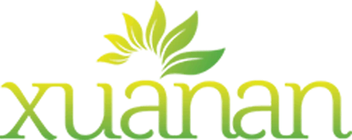 Logo Xuân An